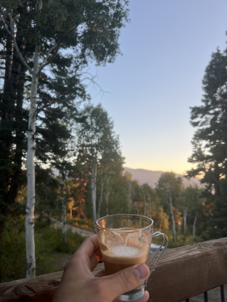 The Eviction & The&nbsp;Forest