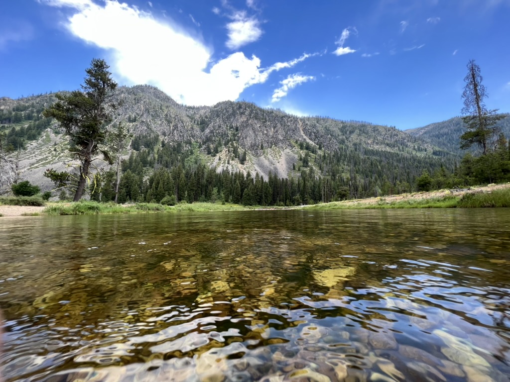 Going with the flow… but&nbsp;whose?